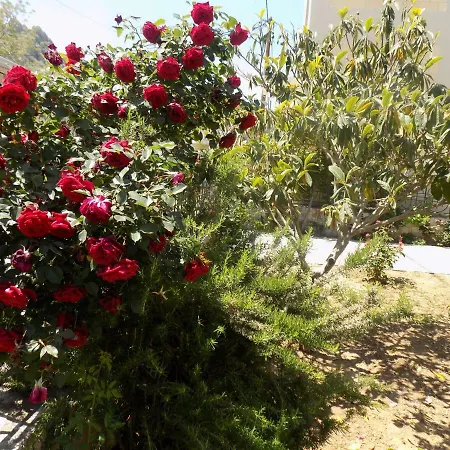 Apartman Pappas Family House *