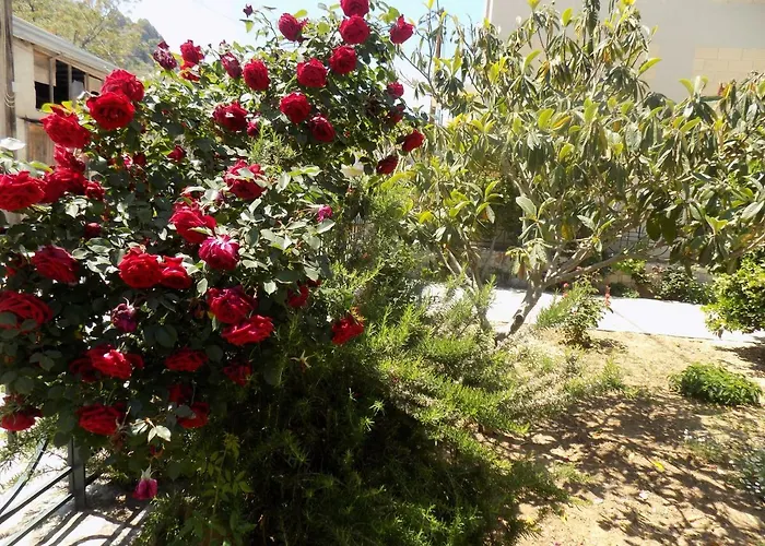 Lägenhet Pappas Family House *